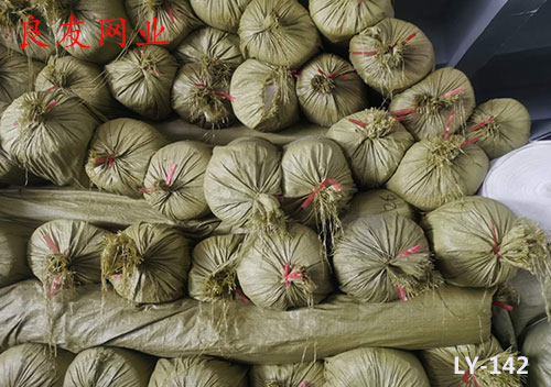 湘潭耐用的筛网厂家